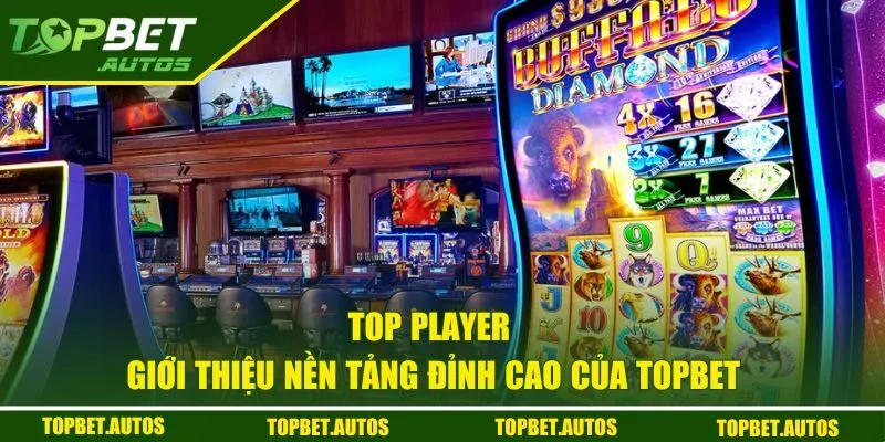 Giới thiệu về sảnh Top player