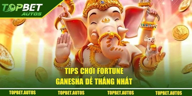 Kho Báu Ganesha | Slot Game Không Nên Bỏ Lỡ Nhất Hiện Nay 2 Tips chơi Fortune Ganesha dễ thắng nhất