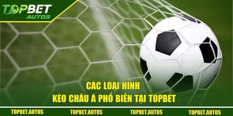 Các loại hình đặt cược phổ biến tại nhà cái uy tín